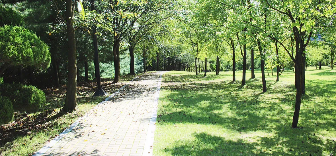 산책로