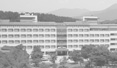 전경